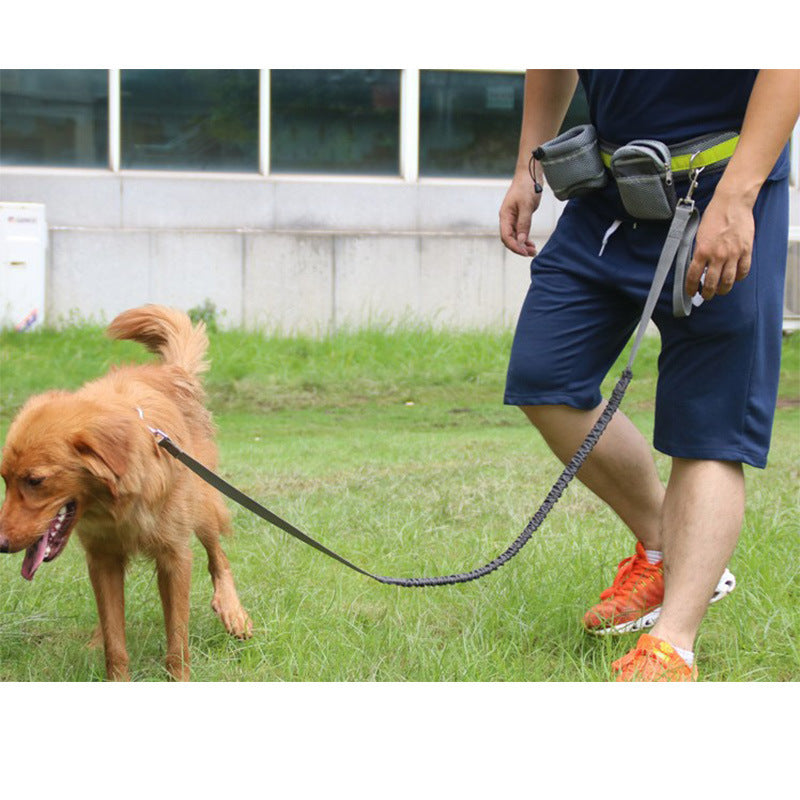 Guinzaglio per cani